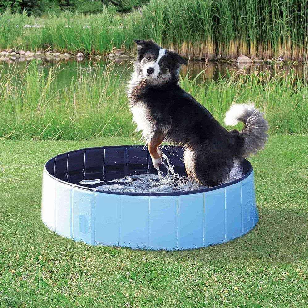 Pet Pool Pvc Outdoor Inflatable Pool