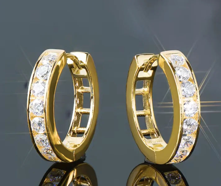 IOGOU 2.5mm Moissanite Hoop Earrings