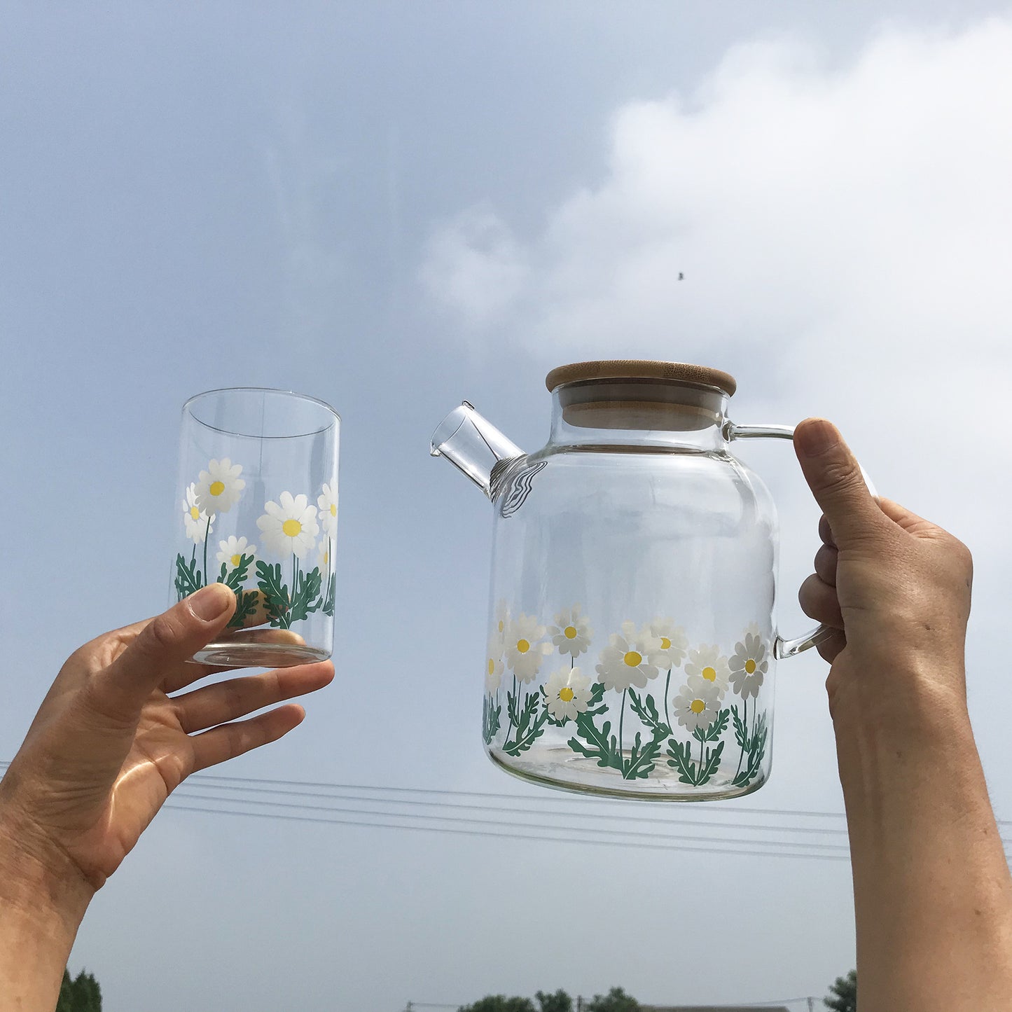Glass Little Printed Glass Jug Set Summer Cold Water Bottle