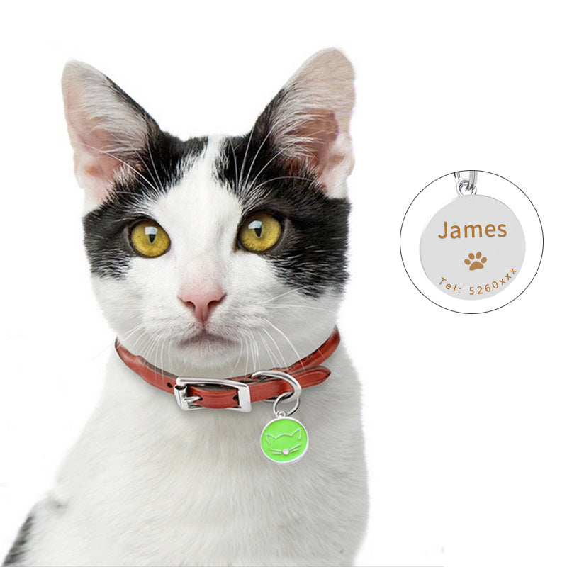 Pet collar pendant