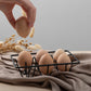Simple Kitchen Storage Rack Egg Rack