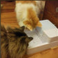 Filter Circulating Dog Drinking Water Feeder