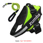 Personalized Reflective Breathable Adjustable Dog Harness and Leash Set