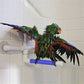 Parrot bath shower stand