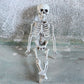 Halloween skull ornament
