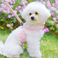 Dog Hand Holding Rope Small Dog Vest