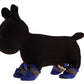 Dog Shoes