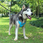 Dog Pet Traction Explosion-Proof Chest Vest Vest