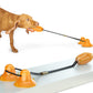 Multifunction Double Tug Rope Balls Sucker Toy Dog Molar Bite Toys