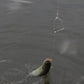 Fishing Artifact, Automatic Fishing Hook, Magic Hook, Tying Fishing Gear