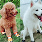 Winter Dog Shoes Reflective Warm Pet Dog Boots Waterproof Dog Rain Shoes