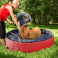 Pet Pool Pvc Outdoor Inflatable Pool