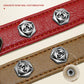 Pet leather collar