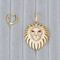 Lion Asymmetry Earrings for Women