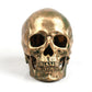 Halloween resin skull
