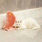 Cat Paw Board Tickle Tickler Cat Mint Ball Bell Pet Supplies Cat Cat Toys Cat Self Congratulation