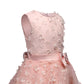 Teenage Girls Dress