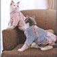 Pet cat clothes