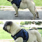 Vest reflective dog leash