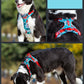 Dog leashes dog chain vest vest straps