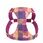 Dog Hand Holding Rope Vest Walking Dog
