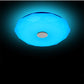 Home Fashion Bluetooth Music Ceiling Led Light