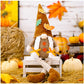 Thanksgiving Decorations Harvest Season Rudolf Doll