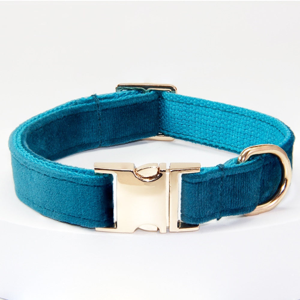 Dog Collar With Engraved Lettering, Anti Loss Collar, Large Dog Leash