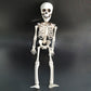 Halloween skeleton skeleton