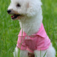 Thin breathable dog vest