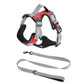 Dog Hand Holding Rope Vest Dog Chest Strap