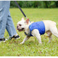Dog vest type hauling rope