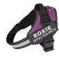 Personalized Custom Reflective Breathable Dog Harness NO PULL Adjustable Pet Harness For Small Large Dog Harness Vest With Patch