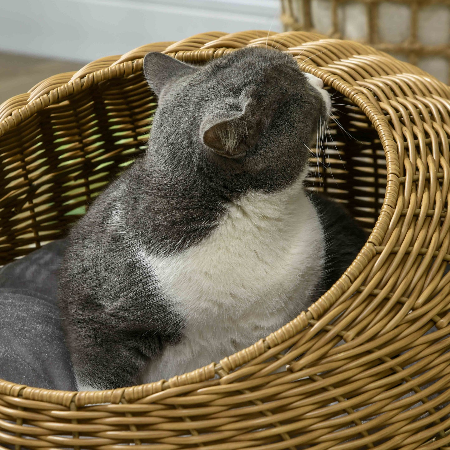 Cat Bed with Washable Cushion for Cats