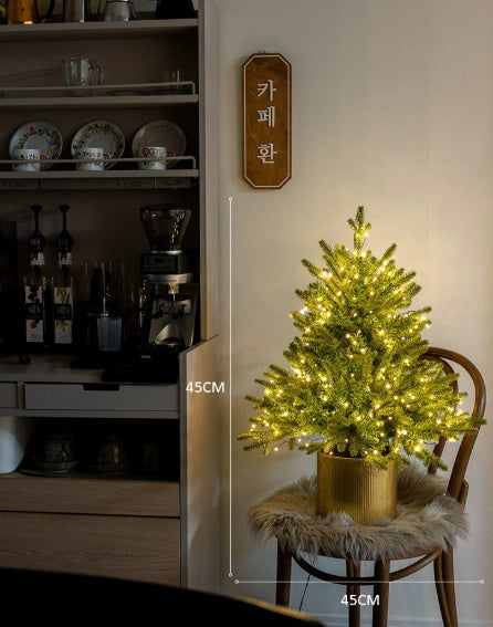 Christmas Tree Encryption Flame