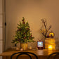 Christmas Tree Encryption Flame