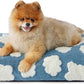 Dog Beds Large Sized Dog Thick Shredded Chopped Foam Pet Bed Dog Bed Indoor With Removable Cover Cute Modern Fuzzy Plush  Anti Slip Bottom