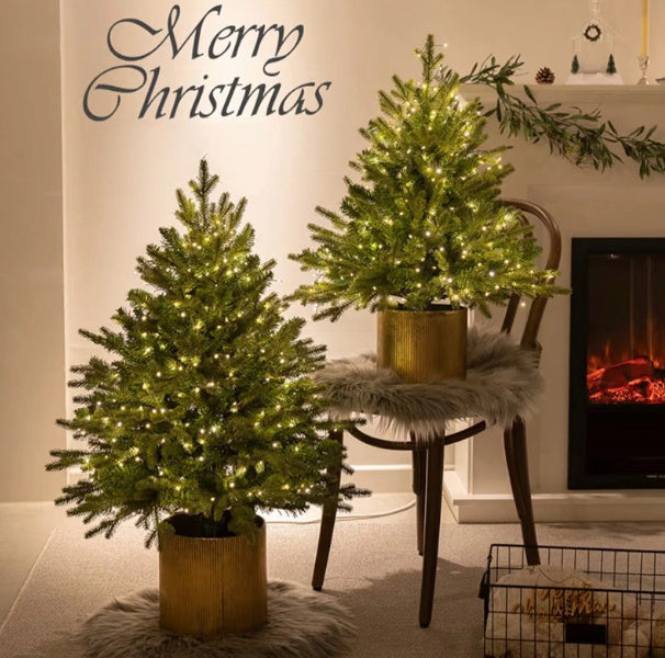 Christmas Tree Encryption Flame