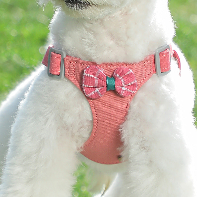 Dog Hand Holding Rope Vest Small Dog