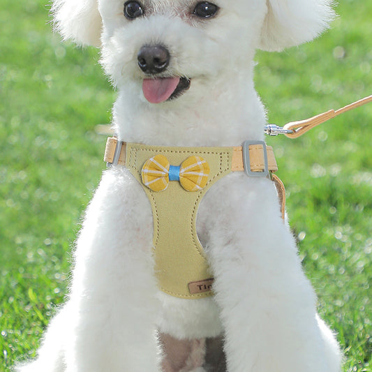 Dog Hand Holding Rope Vest Small Dog
