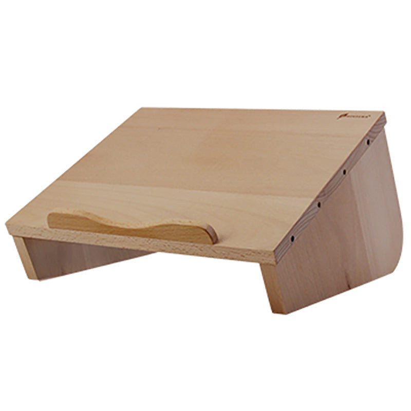 Desktop Storage Combo Vertical Laptop Stand