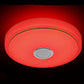 Home Fashion Bluetooth Music Ceiling Led Light