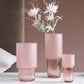 Creative  Glass Vase Decoration Transparent Hydroponic Vase