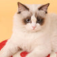 Cat Scratching Mat Natural Sisal