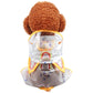 Dog Clothe Rainbow Waterproof Raincoat
