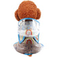 Dog Clothe Rainbow Waterproof Raincoat