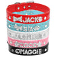 Personalized Cat Collar Rhinestone Puppy Small Dogs Collars