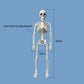 Halloween skull decoration