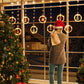 LED Christmas Curtain Lights, Indoor Scene Decoration