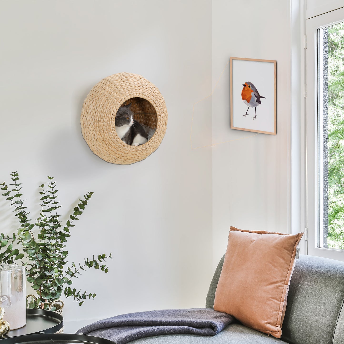 Cat Bed with Washable Cushion for Cats